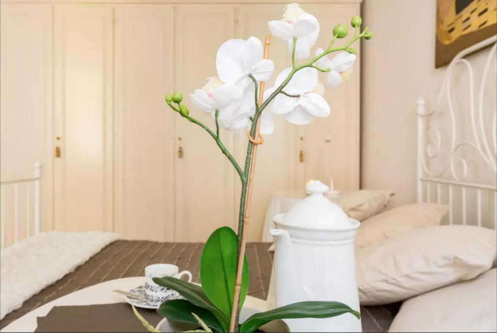 Via Laurina 40 Apartment ローマ エクステリア 写真